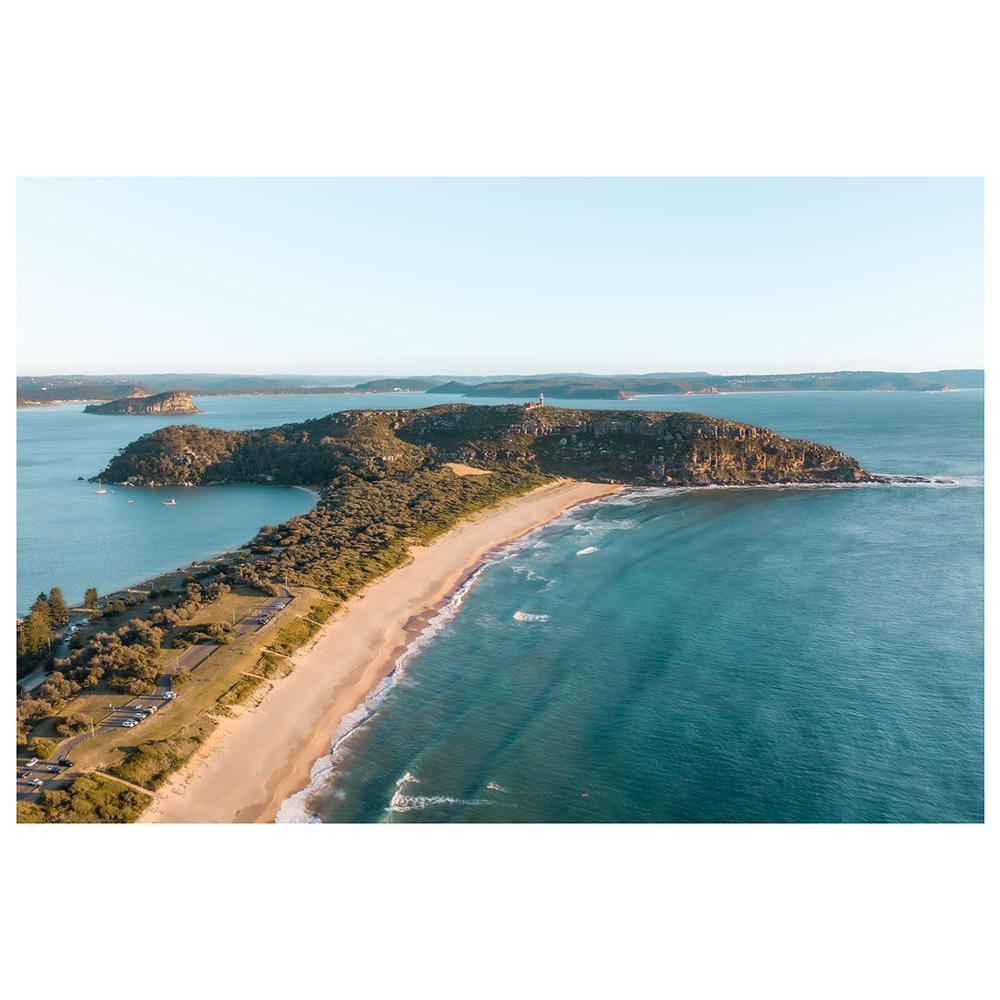 Palmy Landscape Art Print - Through Our Lens