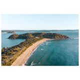 Palmy Landscape Art Print - Through Our Lens