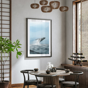Black Breacher whale swimming aerial photograph in black frame - coastal wall art