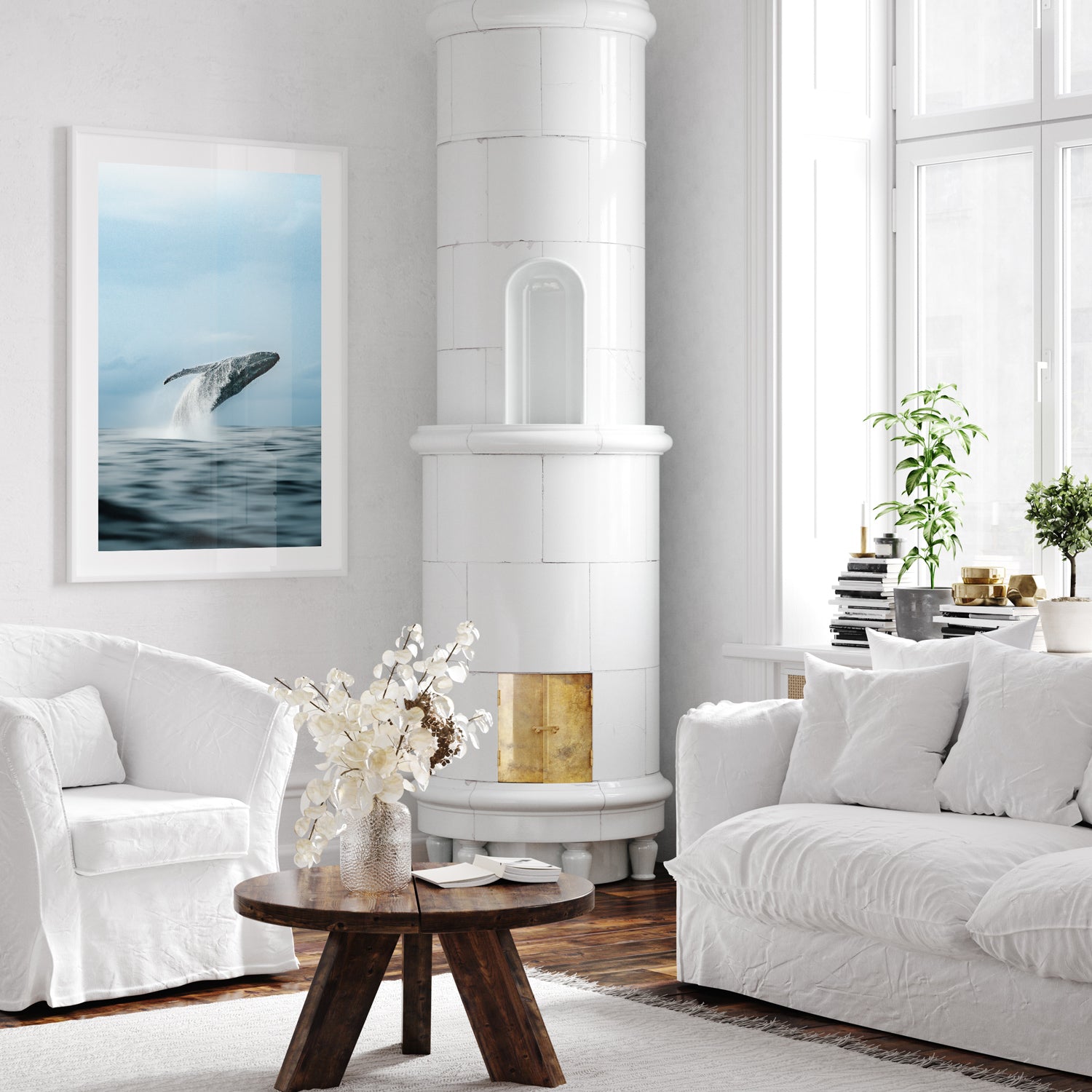 Gold Coast black breacher swimming underwater in white frame - marine life wall art