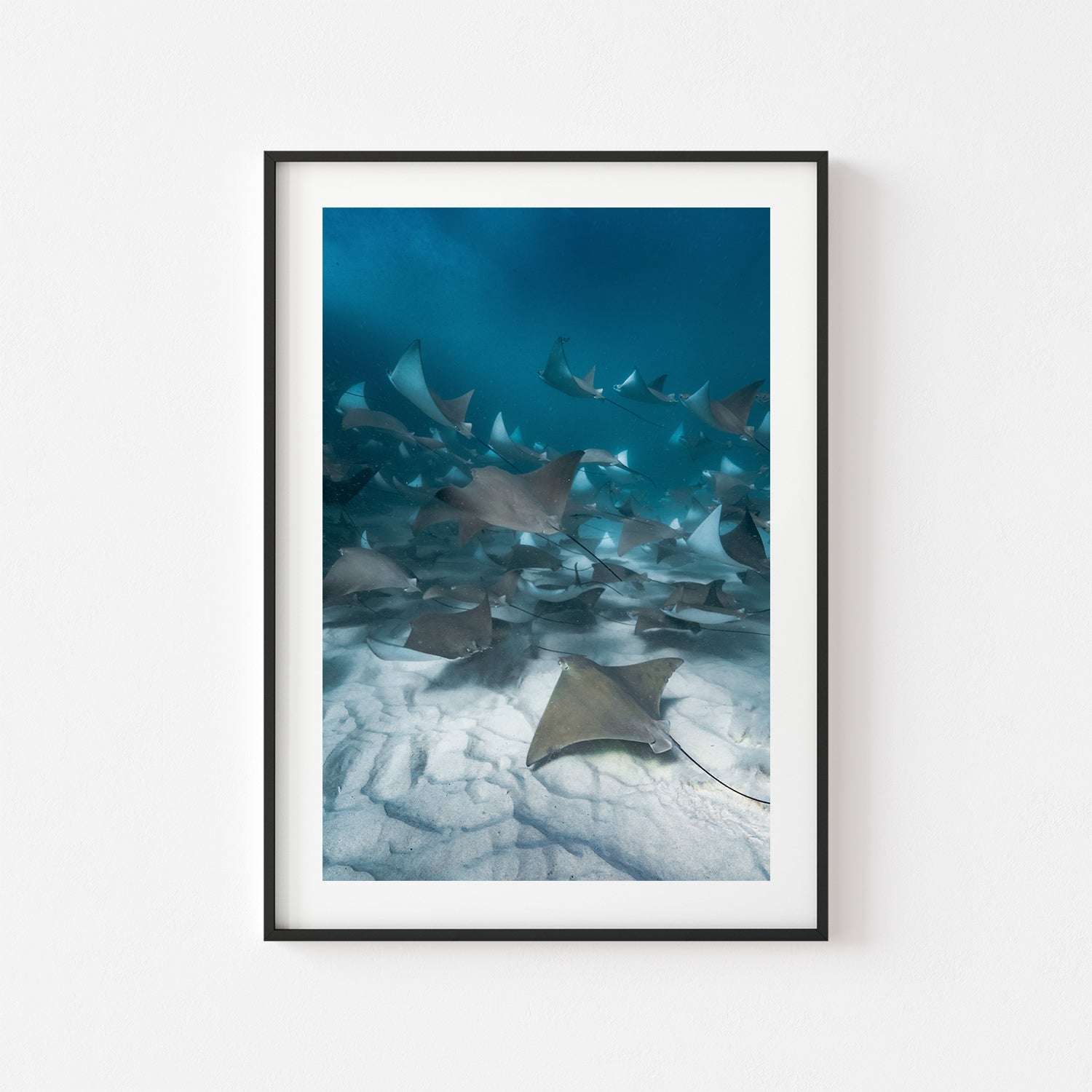 Feverish coastal seascape in black frame - moody beach photography wall art
