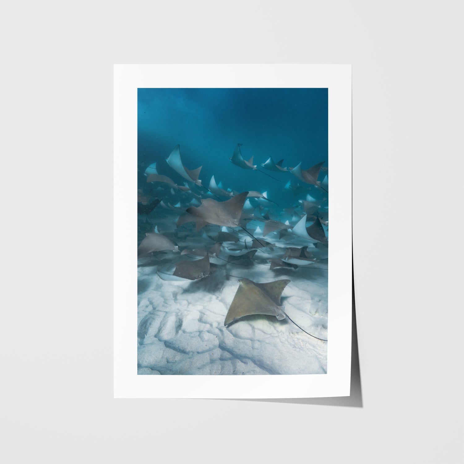 Feverish beach waves print in white frame - abstract coastal photography wall art