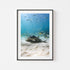 Eagle rays swimming at Seal Rocks in black frame - marine life photography wall art