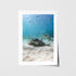 Eagle Rays swimming in Seal Rocks - marine life photograph in white frame - coastal wall