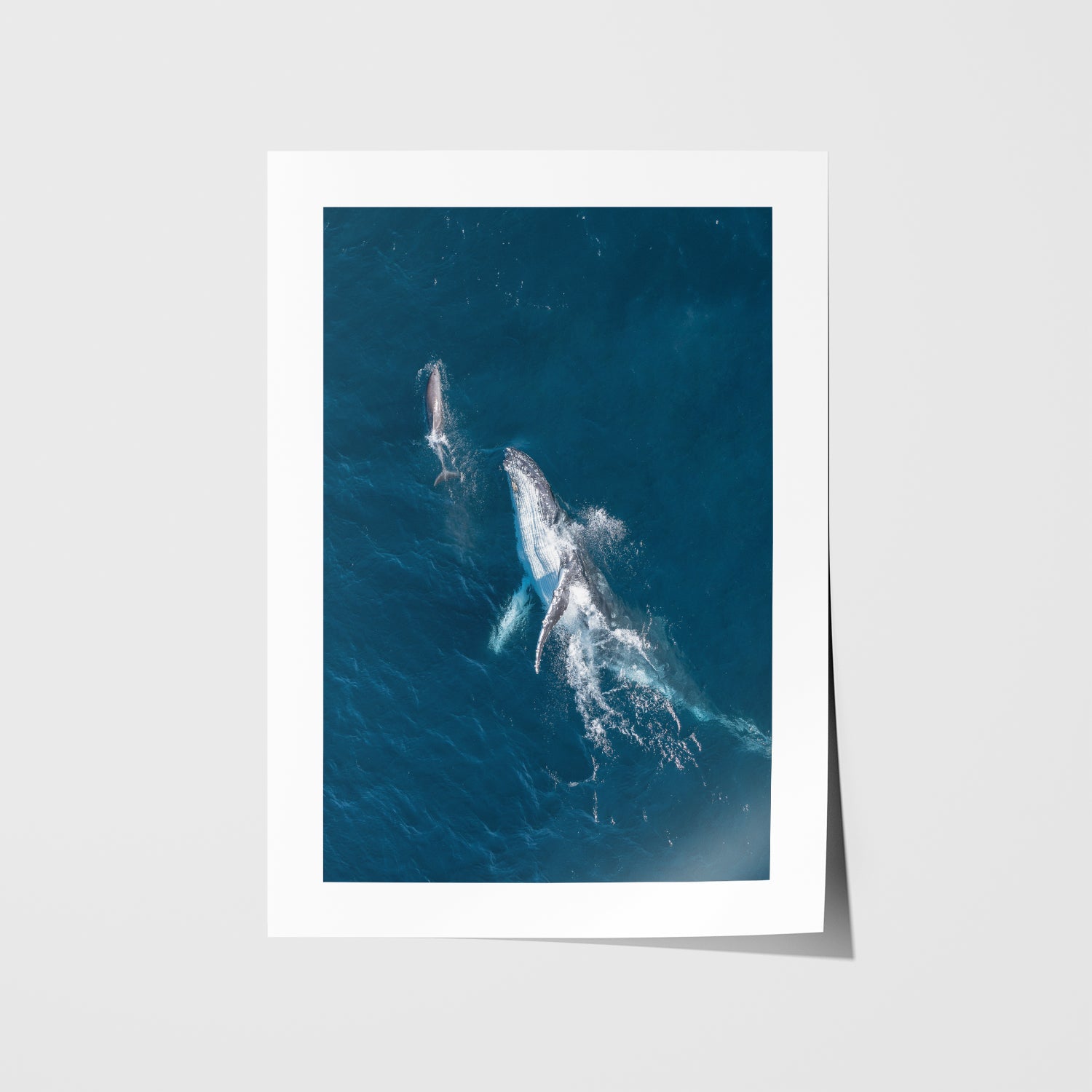 Bondi swimmers interacting naturally - aerial beach photography in white frame