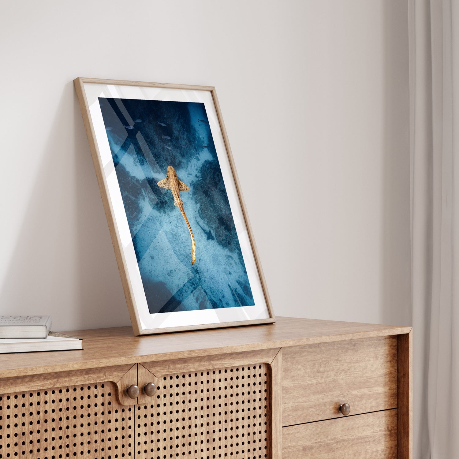 Byron Bay leopard shark underwater - coastal wall art in oak frame for modern Australian homes