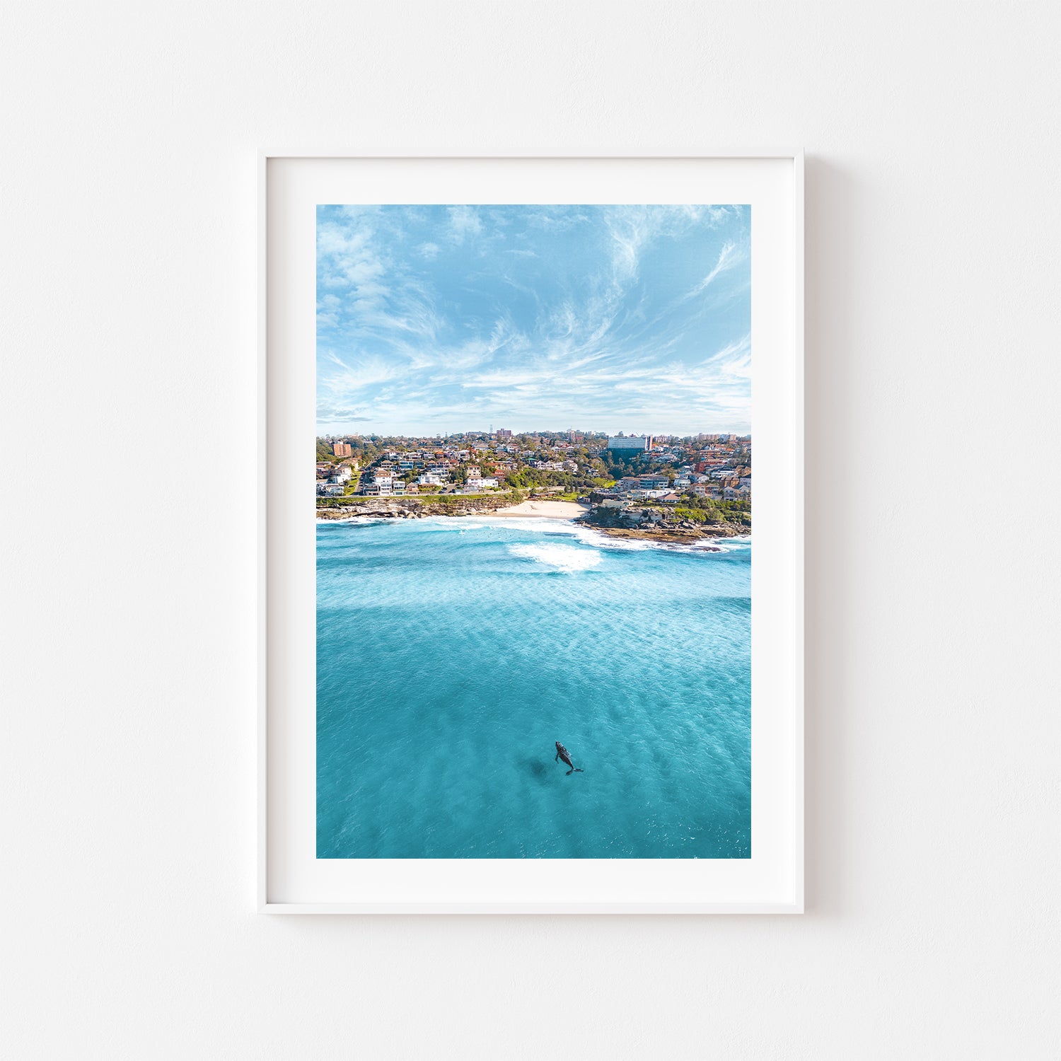 Curious Visitor" coastal swimmer photograph in white frame - Tamarama beach wall art