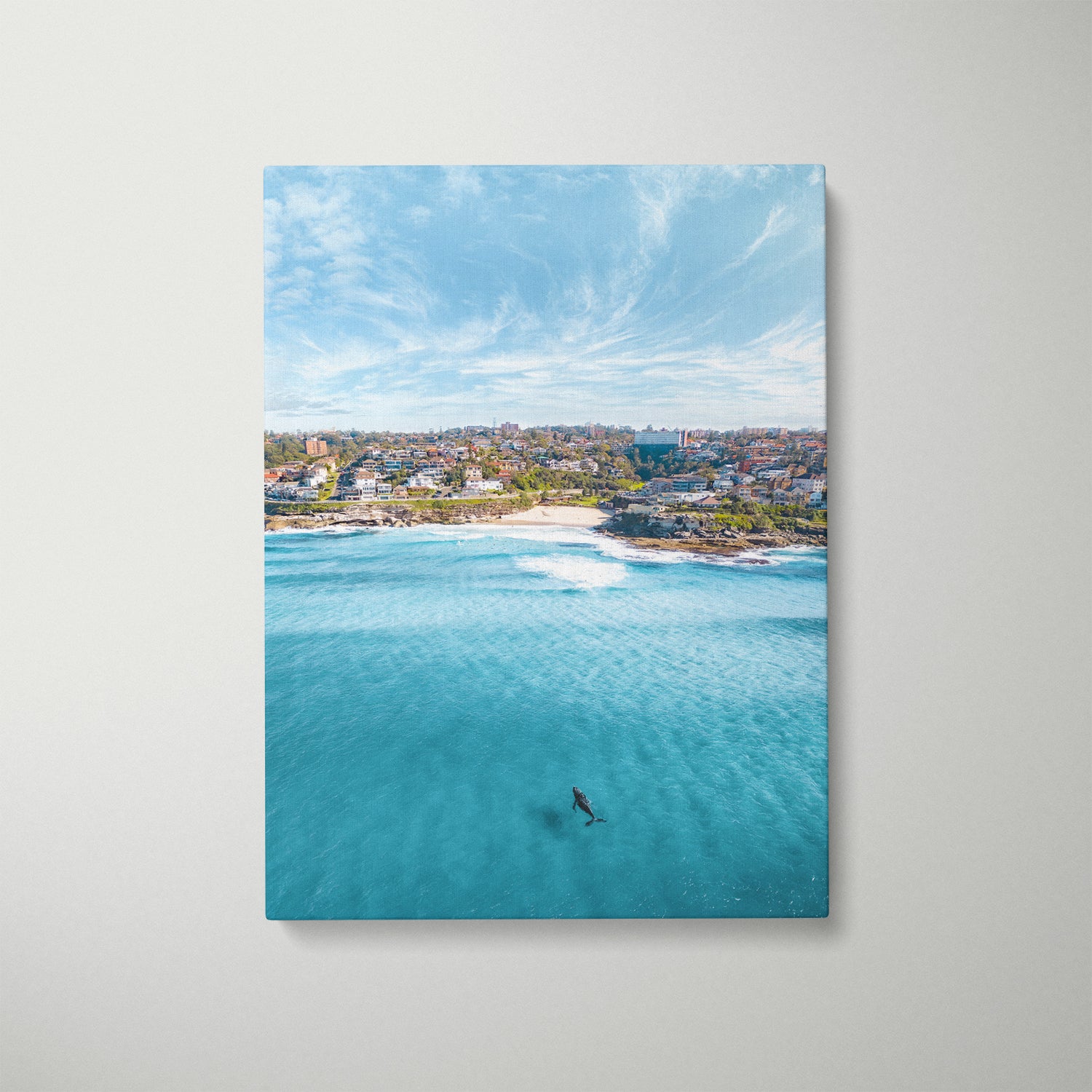 Curious ocean visitor swimming at Tamarama - framed underwater photography wall art