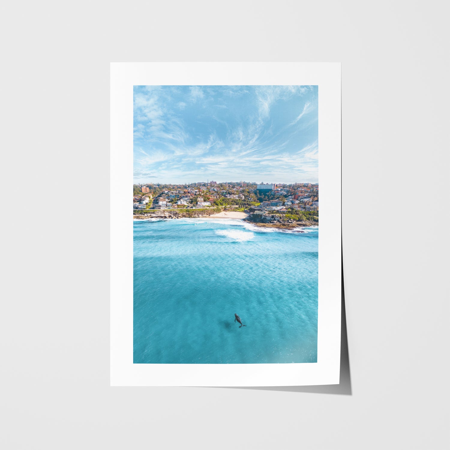 Tamarama curious swimmer underwater photograph in white frame - coastal wall art