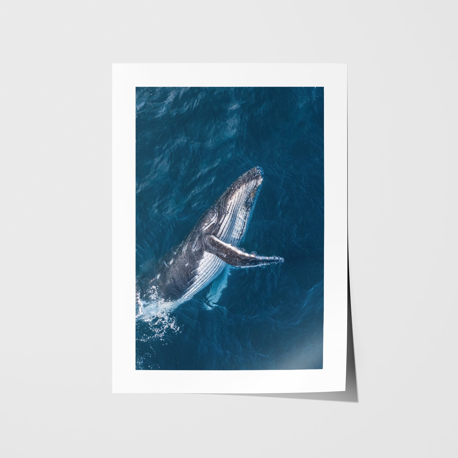 Bondi Beach swimmers playing in waves - framed coastal photography wall art