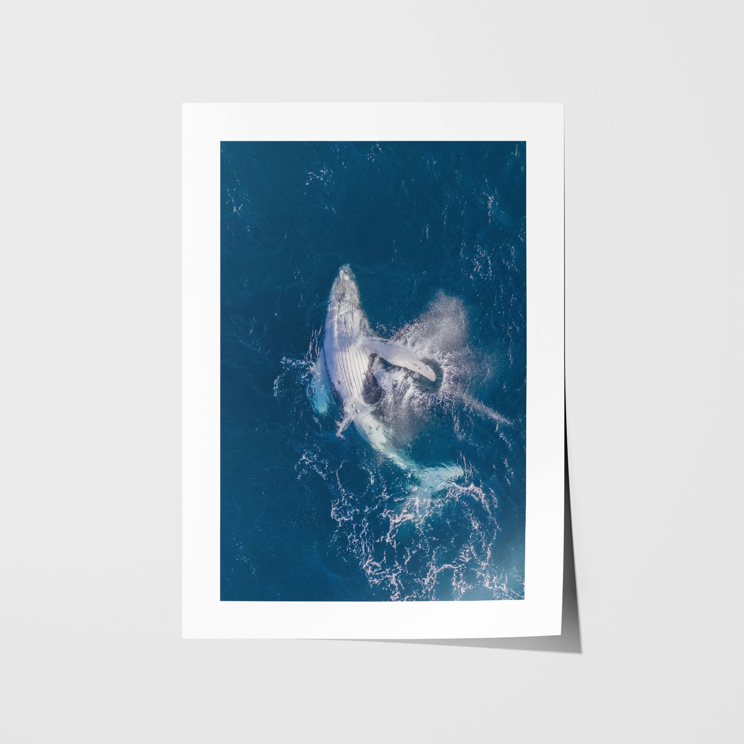 Tummy Time Art Time" Bondi beachgoers aerial view in white frame - playful coastal wall