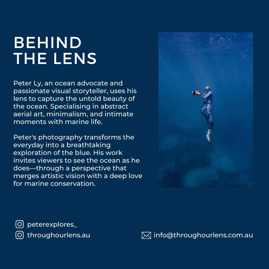 Bondi Beach instinctive interactions aerial photograph - unframed coastal photography