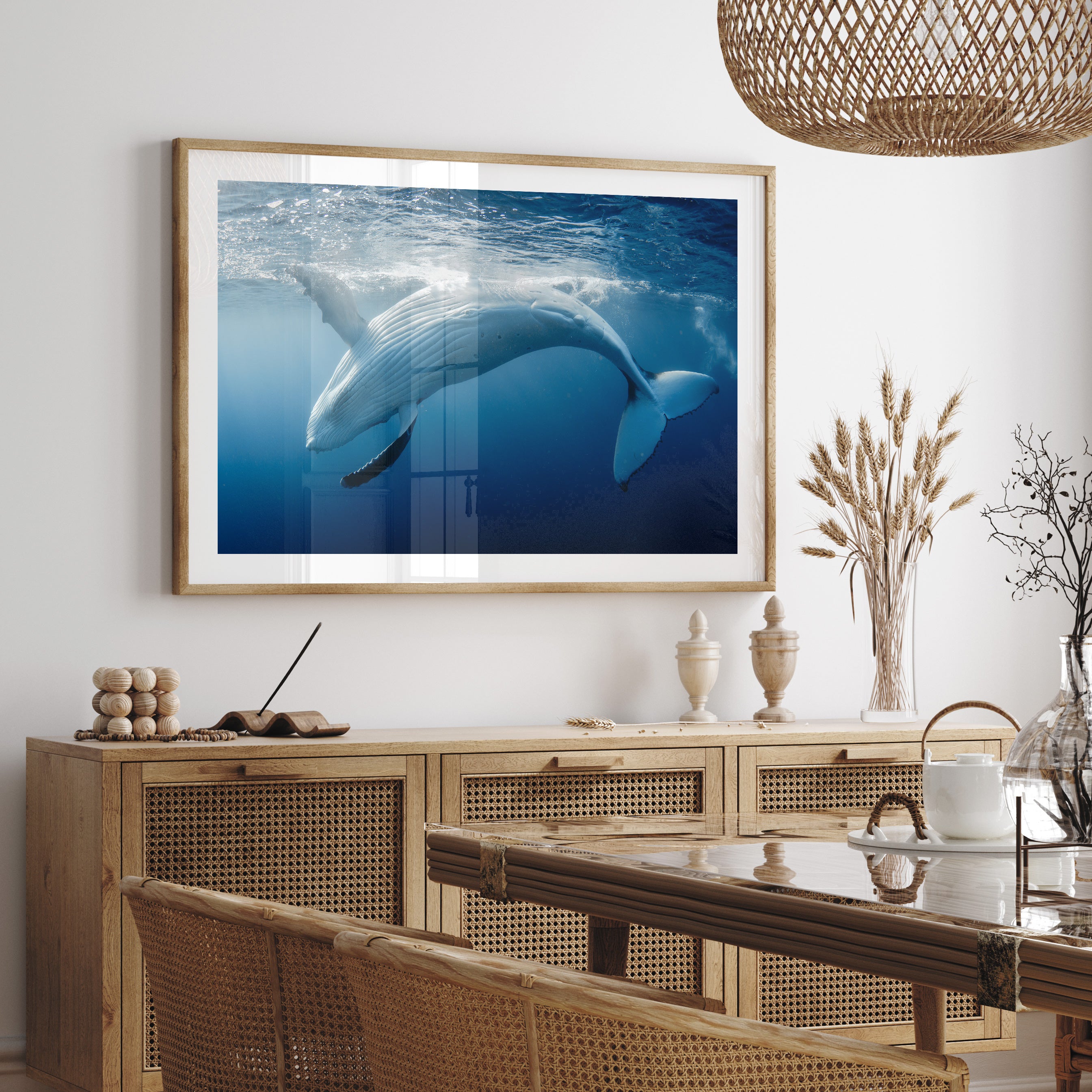 Australian humpback whale curving underwater - coastal marine life wall art