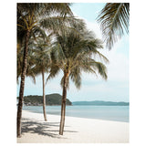 Tropical palm tree silhouette against sunset - unframed coastal beach wall art