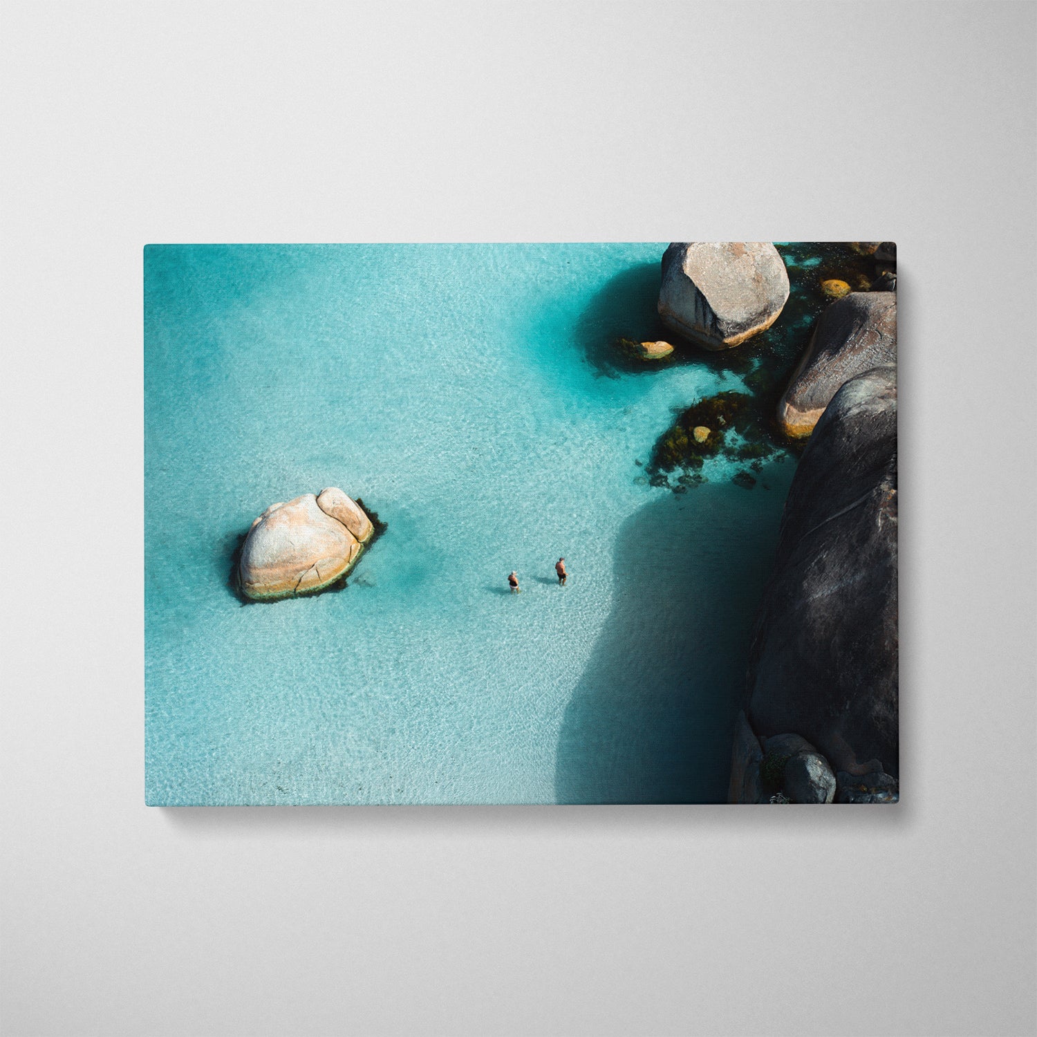 Between Giants Art Print - Through Our Lens