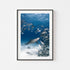 Bubbles The Bottlenose Art Print - Through Our Lens