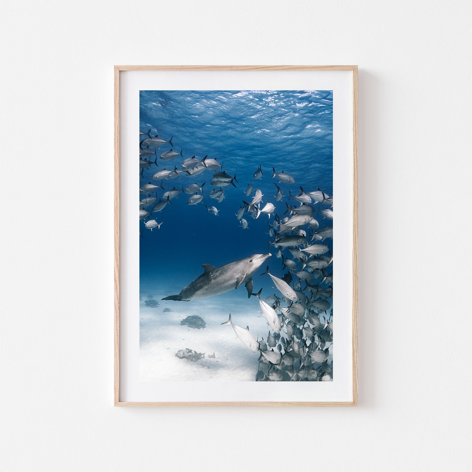 Bubbles The Bottlenose Art Print - Through Our Lens
