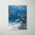 Bubbles The Bottlenose Art Print - Through Our Lens