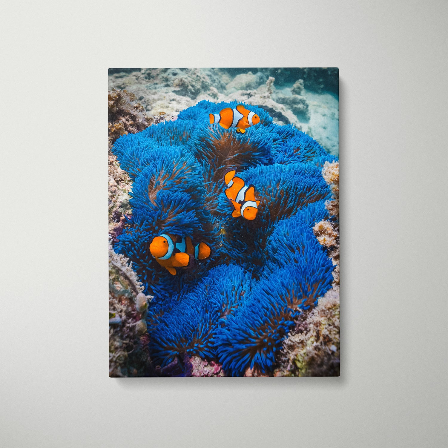 Clowning" coastal scene in white frame - seascape photography for modern beach homes