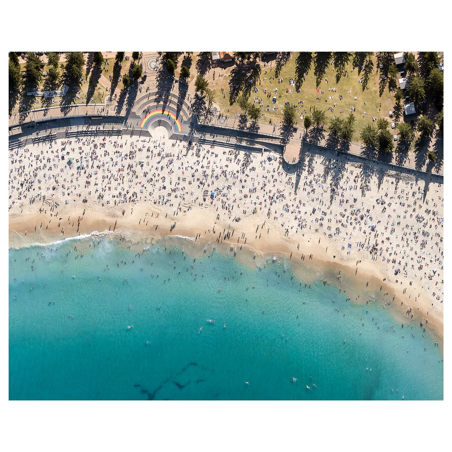 Coogee From Above Art Print