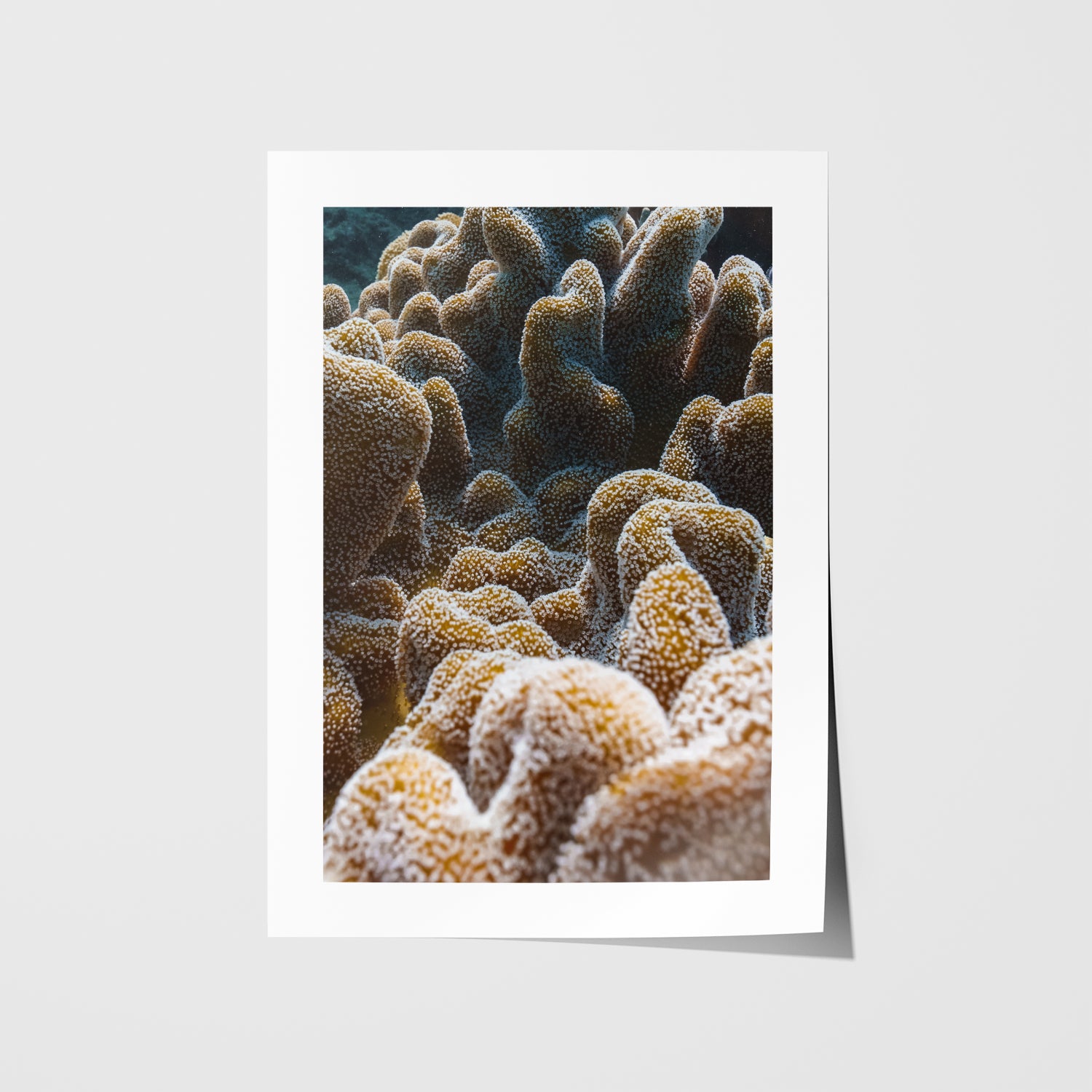 Coral reef seascape in warm tones - unframed coastal wall art for modern beach homes
