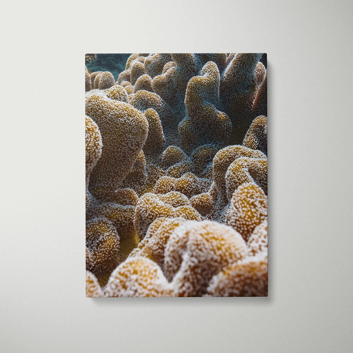 Corally abstract seascape in white frame - coastal art print for modern beach homes