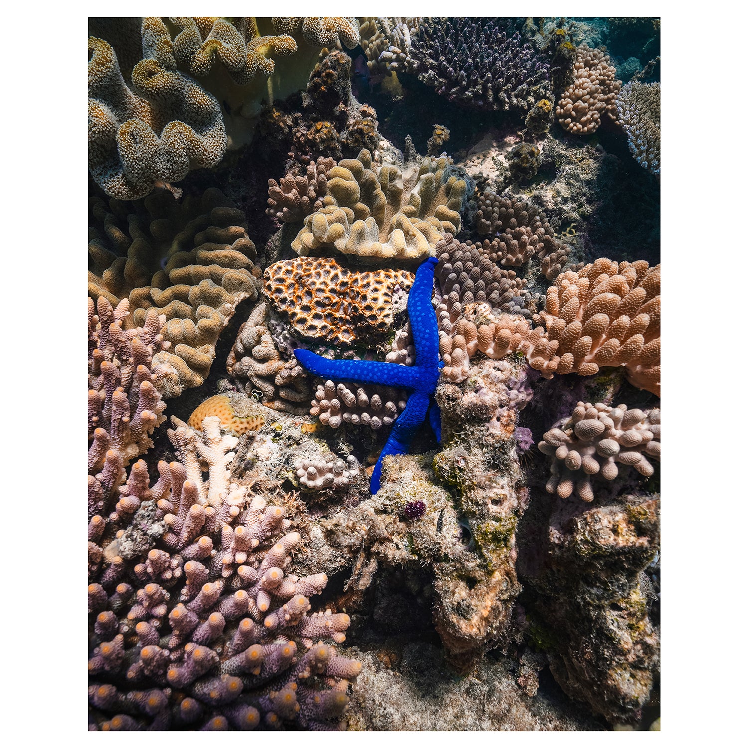 Electric Star abstract seascape - unframed coastal photography wall art