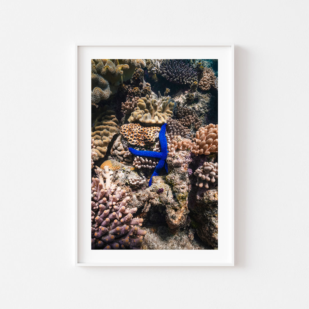 Electric Star Art Print