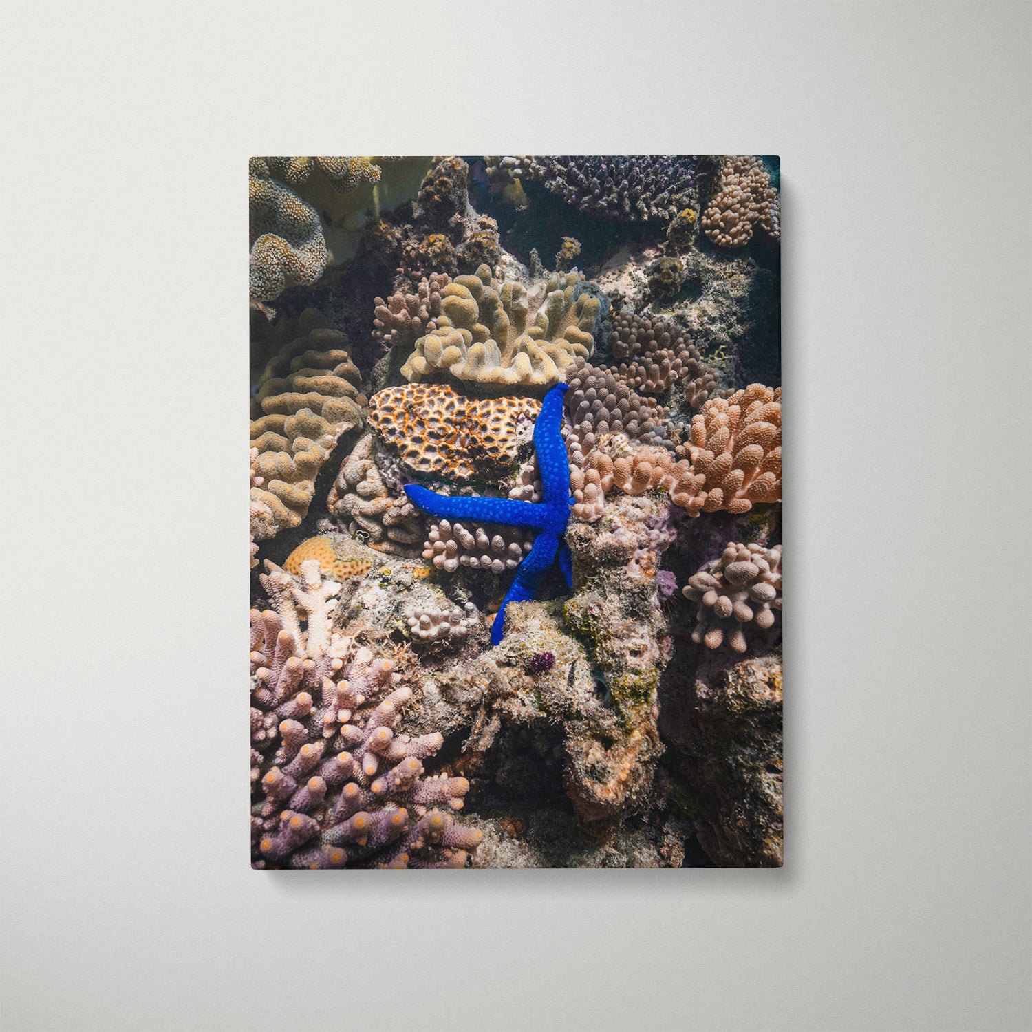 Electric Star seascape in white frame - coastal photography wall art