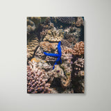 Electric Star Art Print