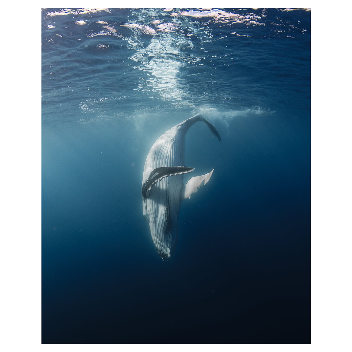 Ethereal coastal moment seascape photography - unframed ocean wall art for modern homes