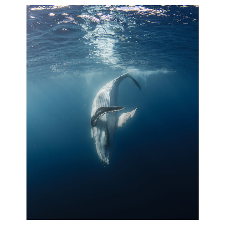 Ethereal coastal moment seascape photography - unframed ocean wall art for modern homes