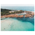 Freshwater beach swimmers aerial view - unframed coastal photography wall art