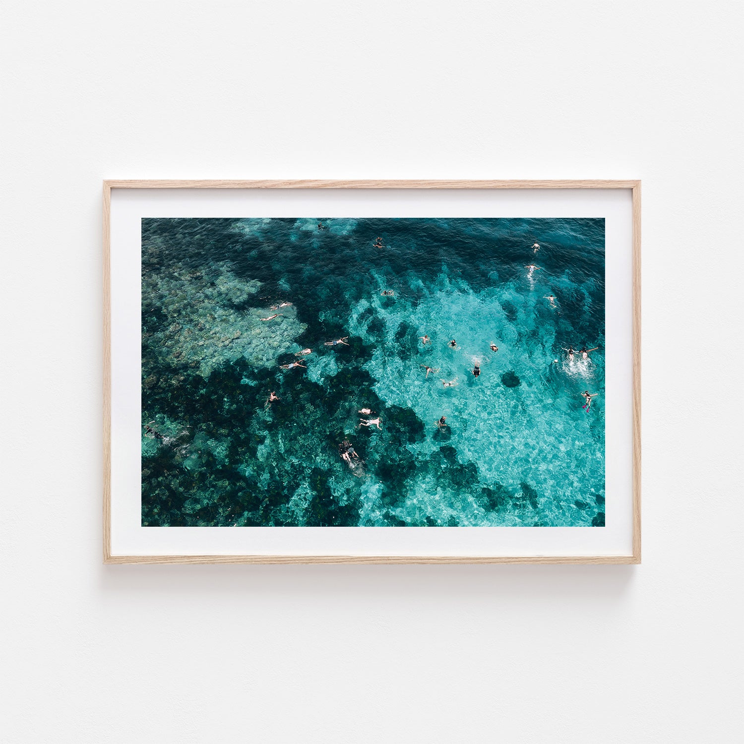 Gordon's Bay underwater coastal scene in oak frame - marine life wall art