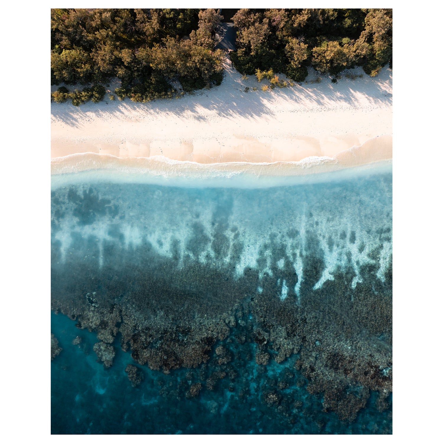 Great Barrier Reef underwater layers in blue - marine life art print for coastal homes