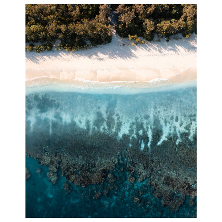 Great Barrier Reef underwater layers in blue - marine life art print for coastal homes