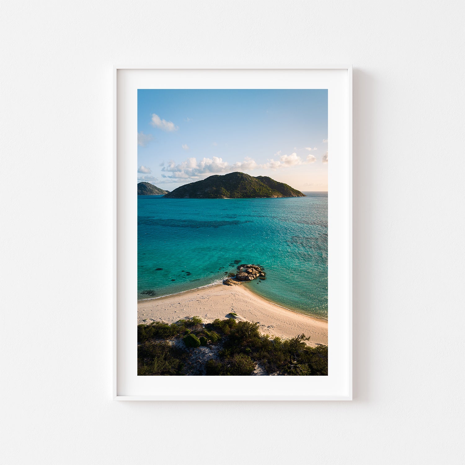 Lumis Reef underwater marine life photography in white frame - coastal bedroom wall art