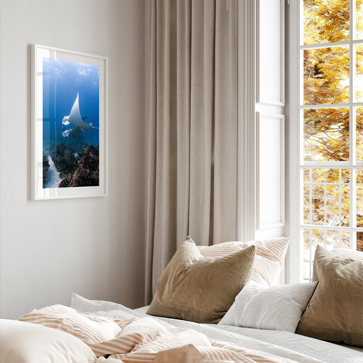 Manta rays swimming underwater at Great Barrier Reef - framed marine life wall art