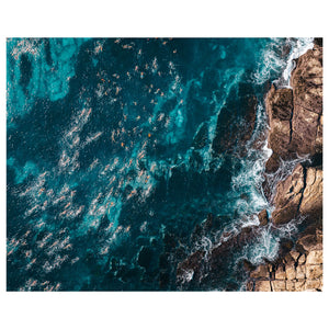 Ocean Swimmers Art Print - Through Our Lens