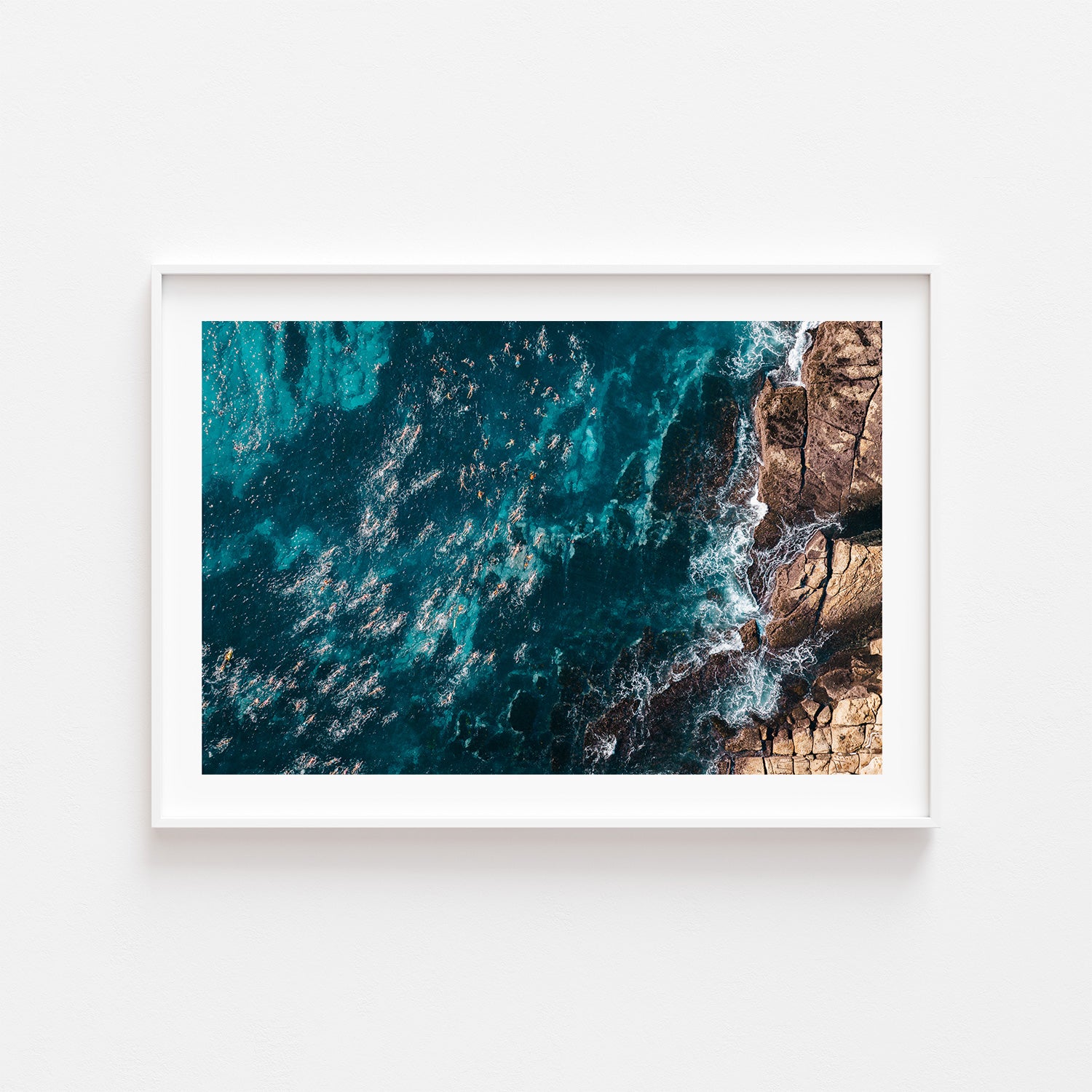 Ocean Swimmers Art Print