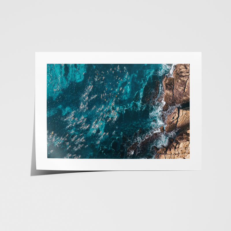 Ocean Swimmers Art Print