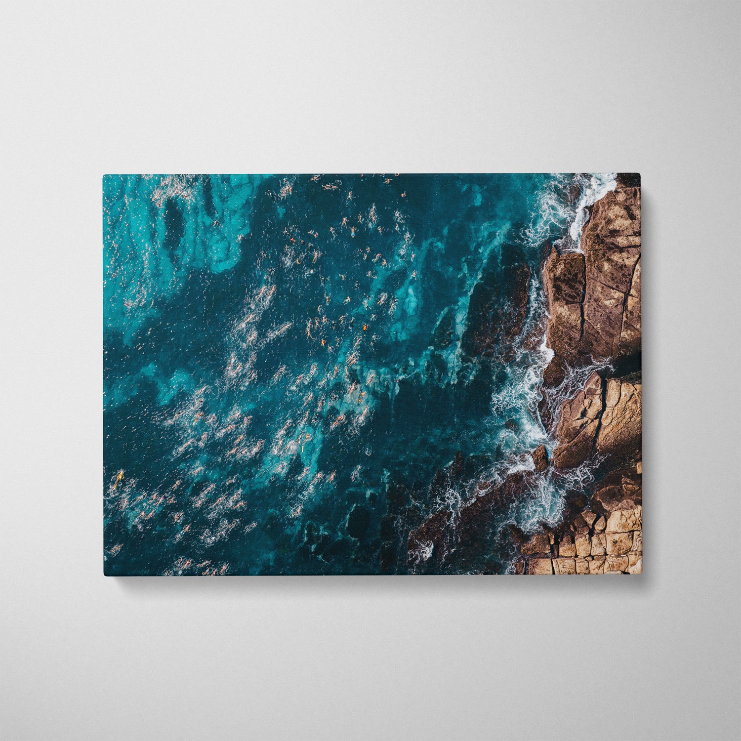 Ocean Swimmers Art Print