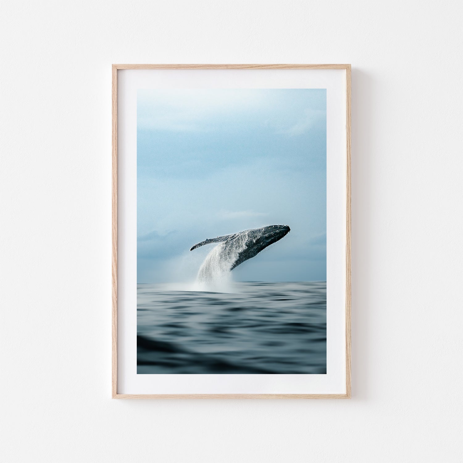 Black Breacher whale swimming underwater in white frame - coastal marine life wall art