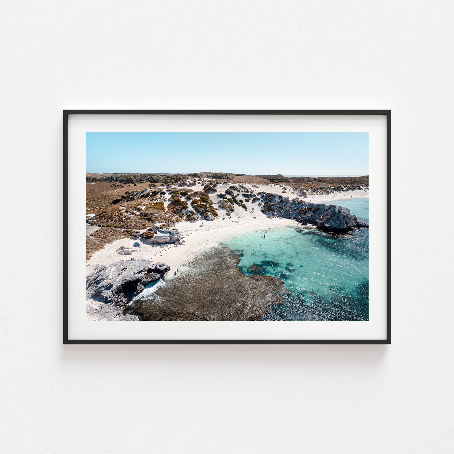 Parakeet Hideaway Art Print - Through Our Lens