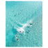 Party Wave surfers catching wave together - coastal lifestyle photography wall art
