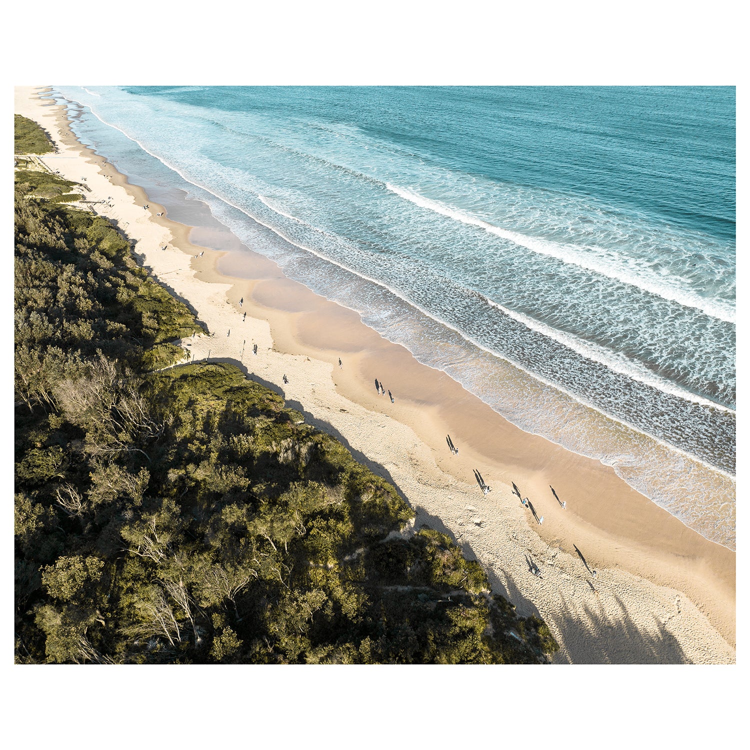 Pearl Beach coastal landscape unframed print - Australian seascape wall art for beach