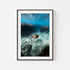 Great Barrier Reef underwater marine life - framed coastal photography wall art