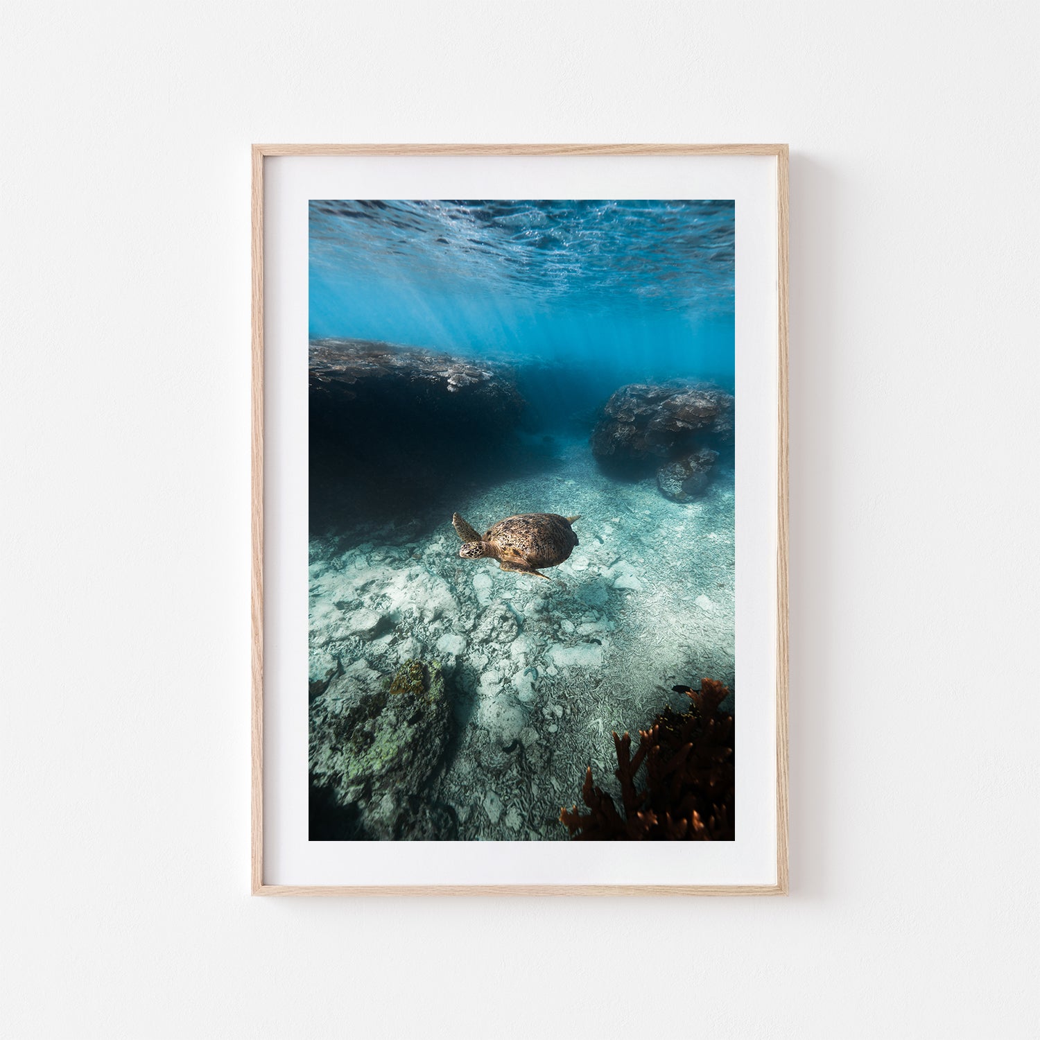Reef Cruiser underwater marine scene in oak frame - Great Barrier Reef coastal wall art