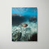 Great Barrier Reef marine life swimming underwater - framed coastal wall art in white