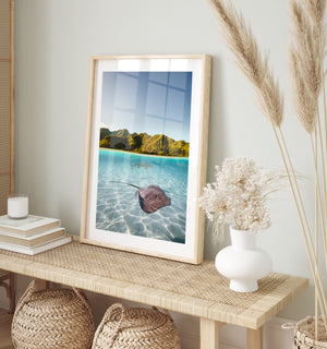 Swimming shark rays split composition in black frame - marine life coastal wall art